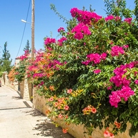 Hotel in Greece, Crete, Chania, 3411 sq.m.