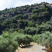 Отель (гостиница) в Греции, Крит, 450 кв.м.