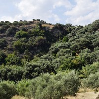 Отель (гостиница) в Греции, Крит, 450 кв.м.