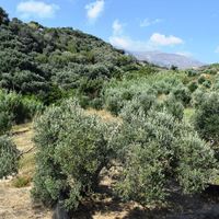 Отель (гостиница) в Греции, Крит, 450 кв.м.