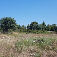 Land plot in Greece, Central Macedonia, Center