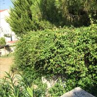 Другое в Греции, Центральная Македония, Центр, 200 кв.м.