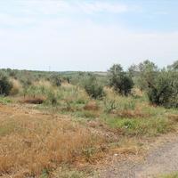 Земельный участок в Греции, Центральная Македония, Центр