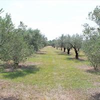 Земельный участок в Греции, Центральная Македония, Центр