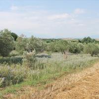 Земельный участок в Греции, Центральная Македония, Центр