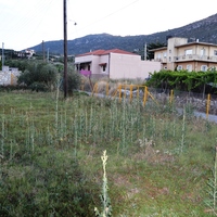 Земельный участок в Греции, Крит, Ираклион