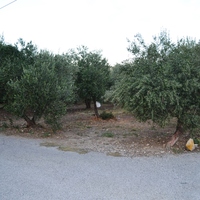 Land plot in Greece, Crete, Irakleion