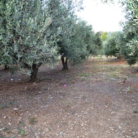 Land plot in Greece, Crete, Irakleion