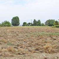 Land plot in Greece, Central Macedonia, Center