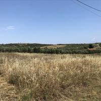 Land plot in Greece, Central Macedonia, Center