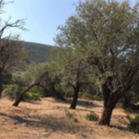 Земельный участок в Греции, Ионические острова, Лефкас