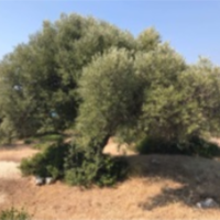 Земельный участок в Греции, Ионические острова, Лефкас