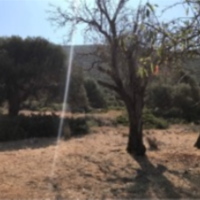 Земельный участок в Греции, Ионические острова, Лефкас