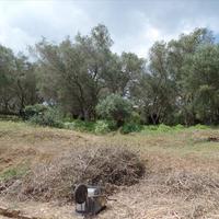 Земельный участок в Греции, Ионические острова