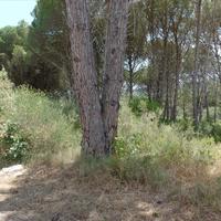 Земельный участок в Греции, Ионические острова