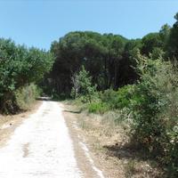 Земельный участок в Греции, Ионические острова