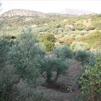 Land plot in Greece, Crete, Chania