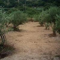 Land plot in Greece, Crete, Chania