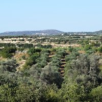 Land plot in Greece, Crete
