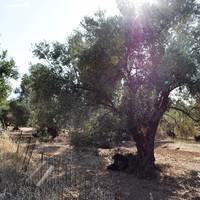 Земельный участок в Греции, Крит