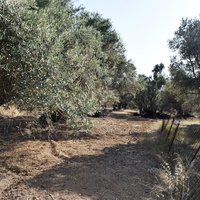 Земельный участок в Греции, Крит