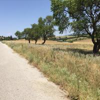 Земельный участок в Греции, Центральная Македония, Центр