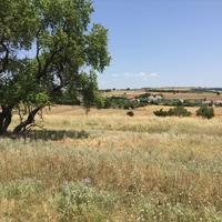 Земельный участок в Греции, Центральная Македония, Центр