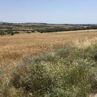 Земельный участок в Греции, Центральная Македония, Центр