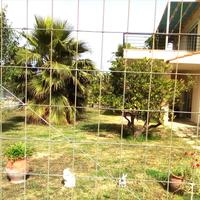 Other in Greece, Peloponnese, 160 sq.m.