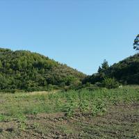 Land plot in Greece, Central Macedonia, Center, 14625 sq.m.