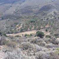 Земельный участок в Греции, Крит