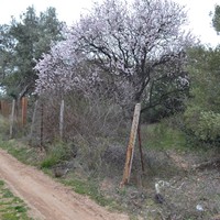 Land plot in Greece, Central Macedonia, Center