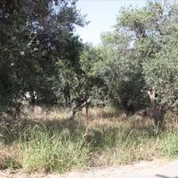 Land plot in Greece, Crete, Chania