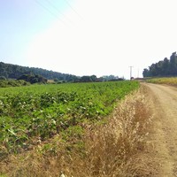 Земельный участок в Греции, Центральная Македония, Центр