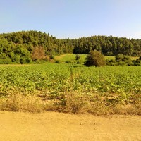 Земельный участок в Греции, Центральная Македония, Центр