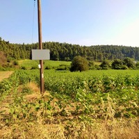 Земельный участок в Греции, Центральная Македония, Центр