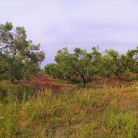 Земельный участок в Греции, Центральная Македония, Центр