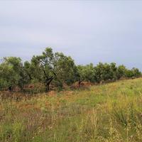 Земельный участок в Греции, Центральная Македония, Центр