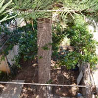 Другое в Греции, Крит, Ираклион, 190 кв.м.