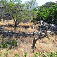 Другое в Греции, Крит, 100 кв.м.