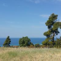 Земельный участок в Греции, Центральная Македония, Центр, 4062 кв.м.