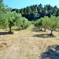 Земельный участок в Греции, Центральная Македония, Центр