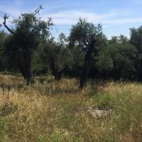 Land plot in Greece, Ionian Islands