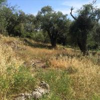 Land plot in Greece, Ionian Islands