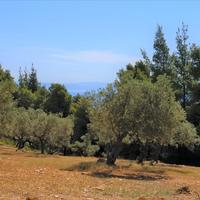 Земельный участок в Греции, Центральная Македония, Центр