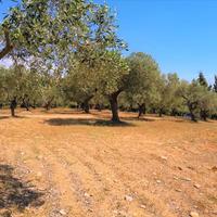 Земельный участок в Греции, Центральная Македония, Центр