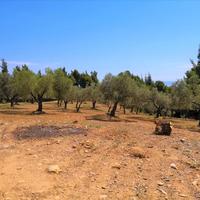 Земельный участок в Греции, Центральная Македония, Центр