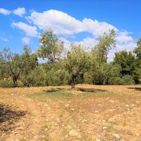 Земельный участок в Греции, Центральная Македония, Центр