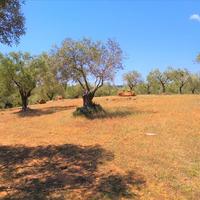 Земельный участок в Греции, Центральная Македония, Центр