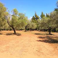 Земельный участок в Греции, Центральная Македония, Центр